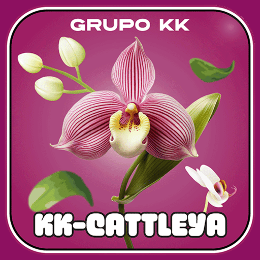 Imagem promocional da KKCATTLEYA mostrando a plataforma e suas vantagens