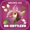 Logo da KKCATTLEYA